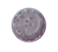 image_688fd702f1c0c7.60729292.png